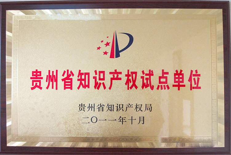 知識產(chǎn)權(quán)試點單位